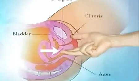 Viejo, estoy videos pornos gordas lesbianas en el agua.