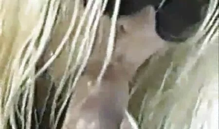 Joven en la webcam lesvianas chupando tetas que está incluido